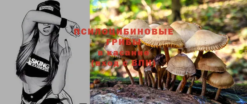 Галлюциногенные грибы Magic Shrooms  Тырныауз 